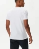 Calvin Klein Erkek Seasonal Monologo Beyaz T-Shirt