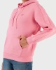 Brenda Kapüşonlu Regular Fit  Kadın  Sweat