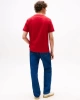 Tommy Hilfiger  Erkek  Kontrast  İşlemeli Monogramlı T-Shirt