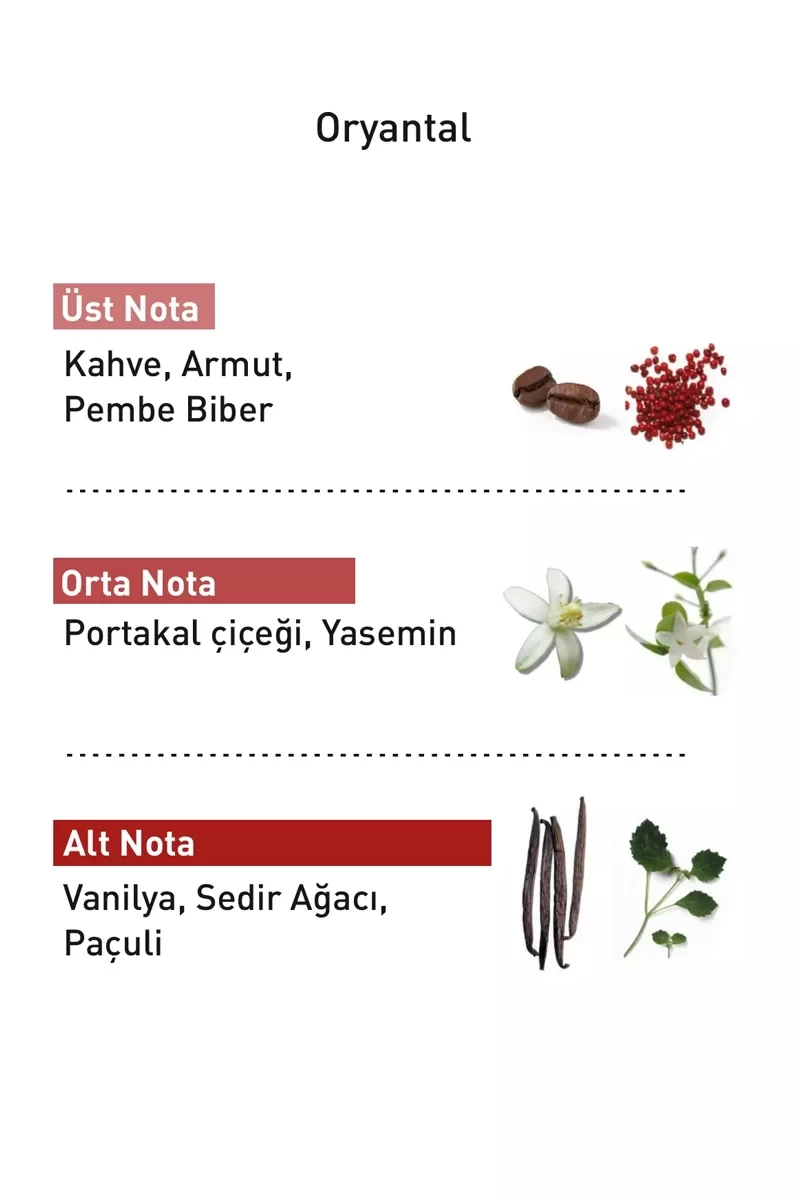 Procsın Parfüm-PARFÜM