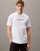 PW - GRAPHIC S/S T-SHIRT