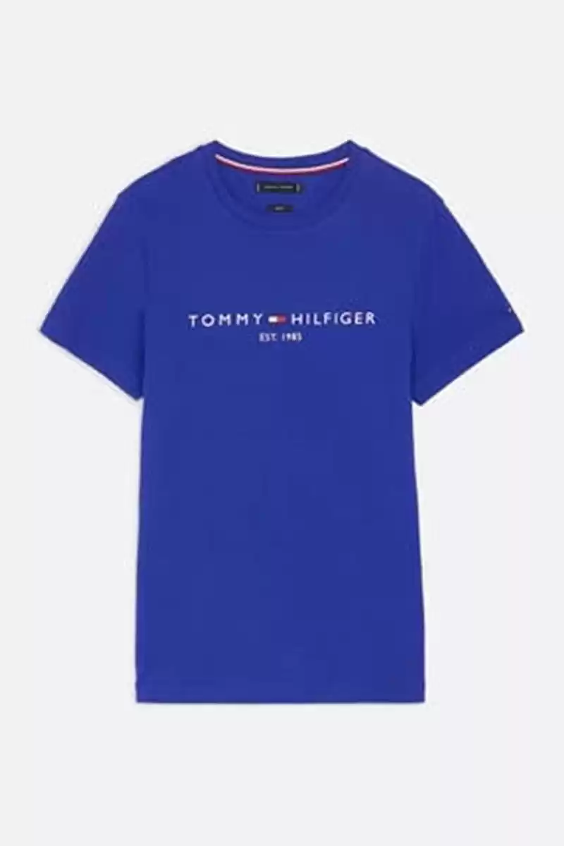 Tommy Hilfiger Erkek Mavi Slim Fit Logo Nakışlı T-Shirt