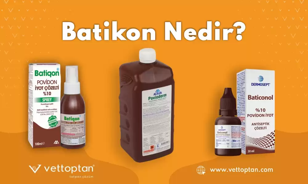 Batikon Nedir ve Ne İşe Yarar?