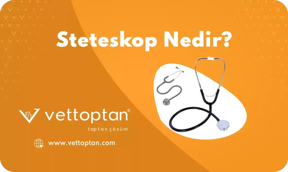 Steteskop Nedir?