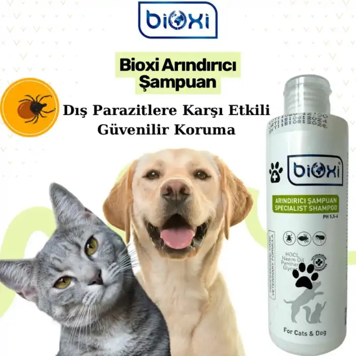 Bioxi Arındırıcı Şampuan 200 ml