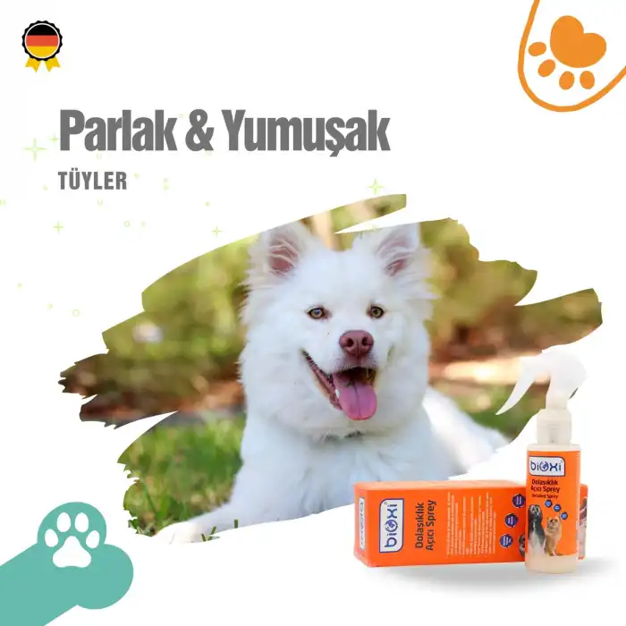 Bioxi Dolaşıklık Açıcı Sprey 100 ml | Kedi ve Köpek Tüy Bakım Ürünü