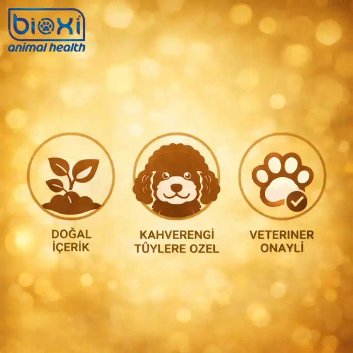 Boxi Gold & Brown Pure Shampoo (Kedi & Köpek Kahverengi Tüyler İçin Şampuan) 200 ml