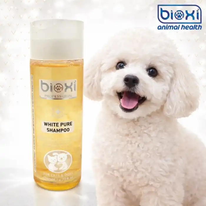 Boxi White Pure Shampoo (Kedi & Köpek Beyaz Tüyler İçin Şampuan) 200 ml