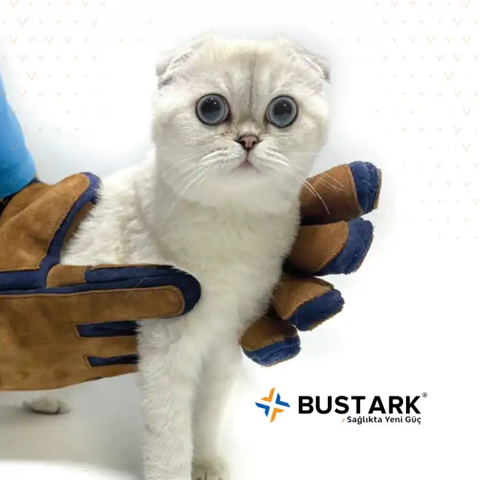 Bustark Koruma Eldiveni (Kedi Tutma Eldiveni) Dirseğe Kadar Çift - 55cm