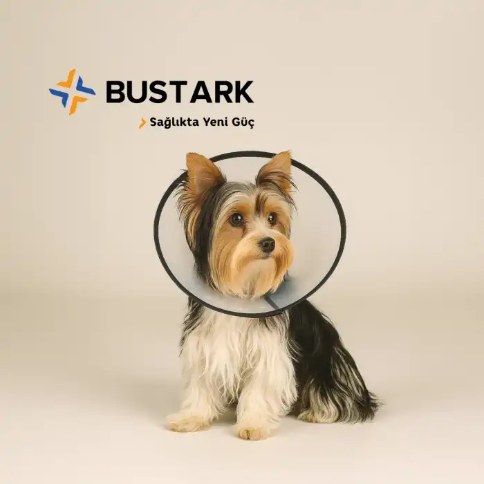 Bustark Yakalık Dikişli - 12,5cm