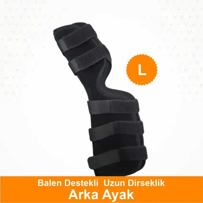 Köpekler için Balen Destekli Arka Ayak Uzun Dirseklik Large - (L)