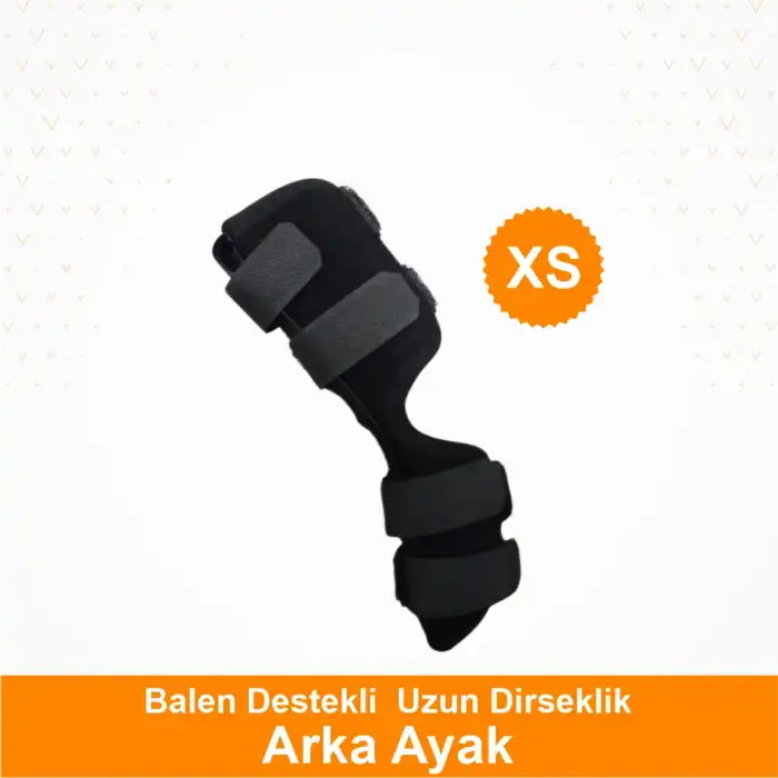 Köpekler için Balen Destekli Arka Ayak Uzun Dirseklik X Small - (XS)