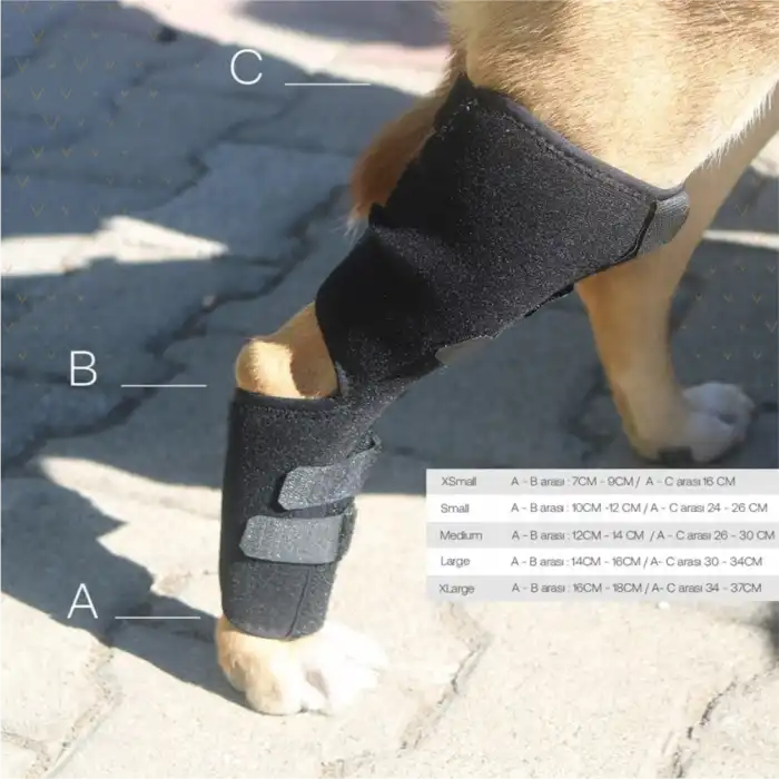 Köpekler için Balen Destekli Arka Ayak Uzun Dirseklik X Large - (XL)