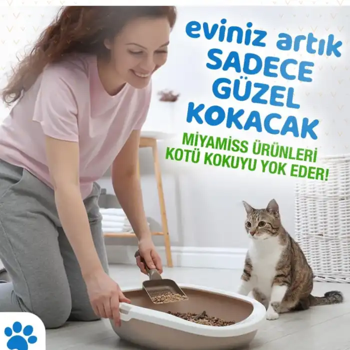 Miyamiss Kedi Kumu Koku Giderici Coconut 250 Gr