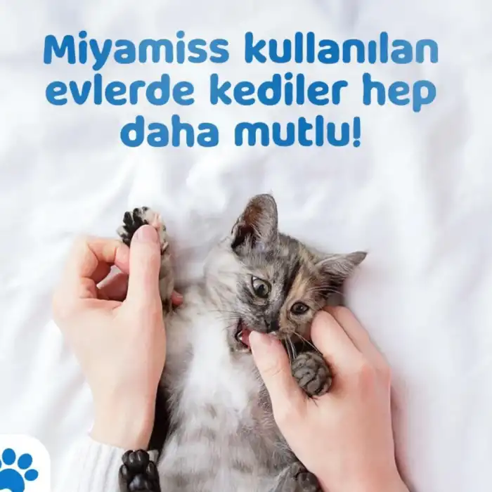 Miyamiss Kedi Kumu Koku Giderici Coconut 250 Gr