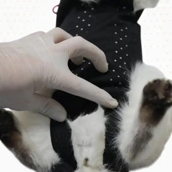 PetSuit Yara Koruyucu Korse (S) Small