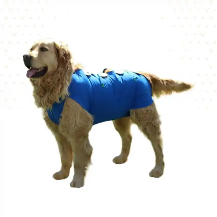 WinPet ECO Gövde Aparatı L Beden