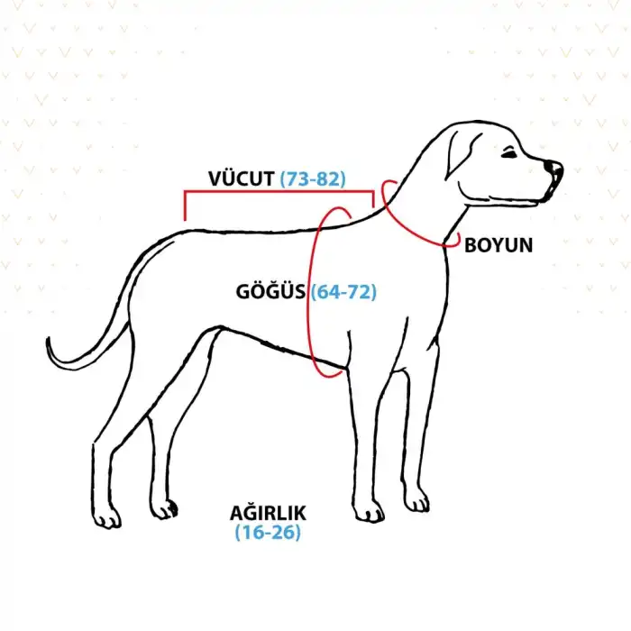 WinPet ECO Gövde Aparatı L Beden