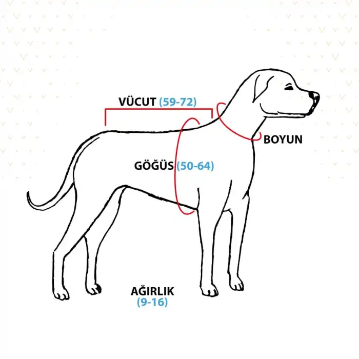 WinPet ECO Gövde Aparatı M Beden