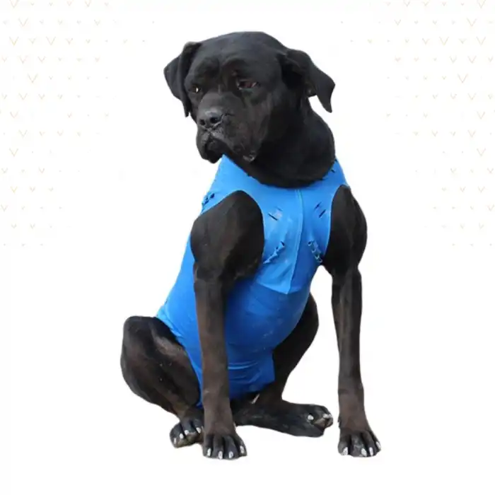 WinPet ECO Gövde Aparatı M Beden