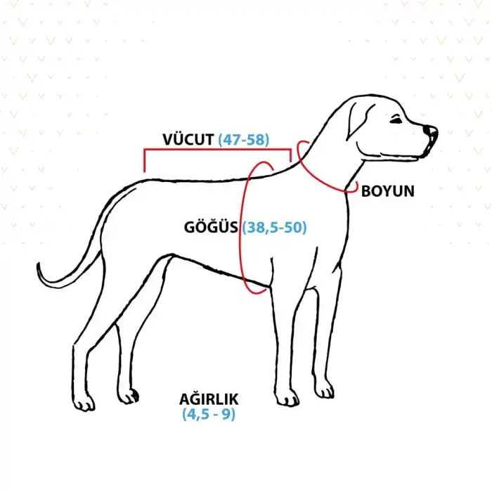 WinPet ECO Gövde Aparatı S Beden