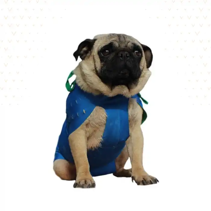 WinPet ECO Gövde Aparatı S Beden