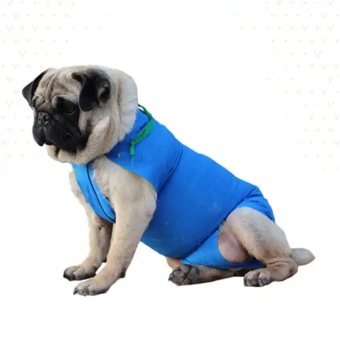 WinPet ECO Gövde Aparatı S Beden