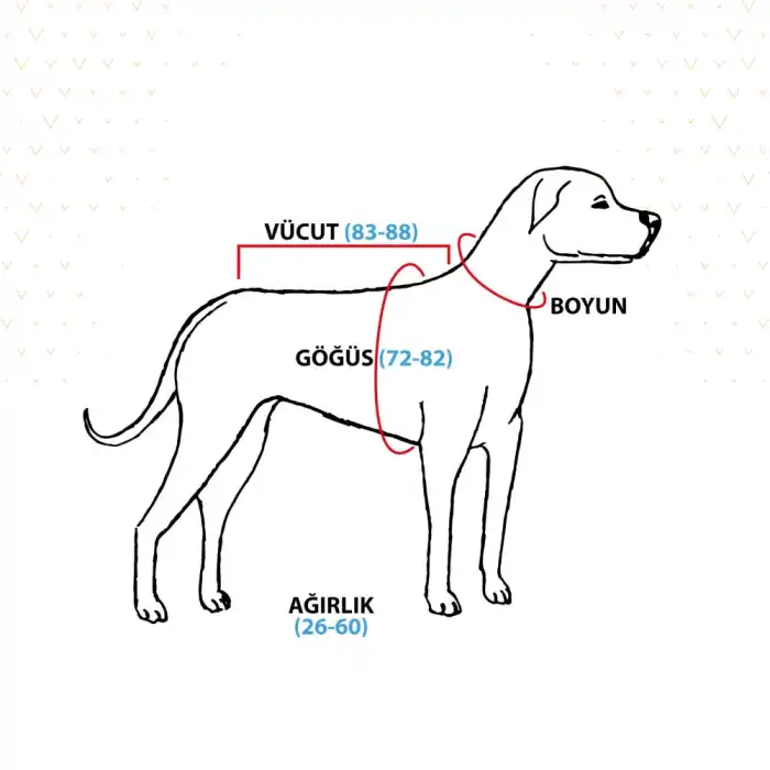 WinPet ECO Gövde Aparatı XL Beden