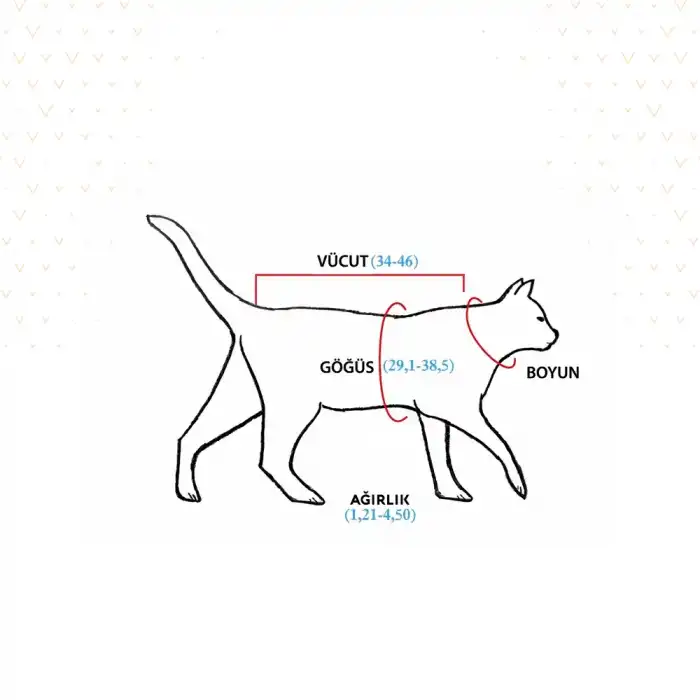 WinPet ECO Gövde Aparatı XS Beden