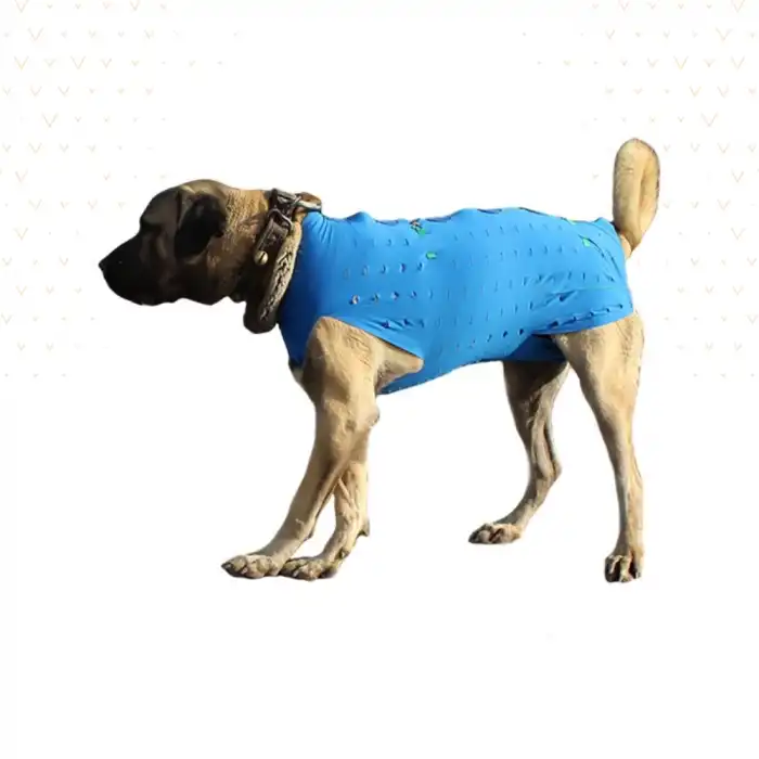 WinPet ECO Gövde Aparatı XXL Beden