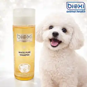 Boxi White Pure Shampoo (Kedi & Köpek Beyaz Tüyler İçin Şampuan) 200 ml