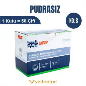 Steril Eldiven Pudrasız No: 8