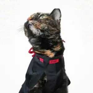 PetSuit Yara Koruyucu Korse (S) Small