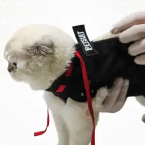 PetSuit Yara Koruyucu Korse (XXS +) XX Small +