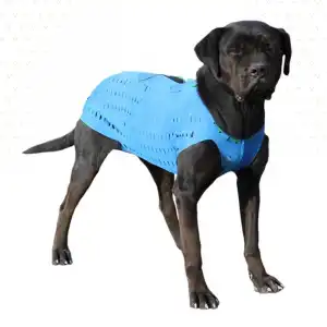 WinPet ECO Gövde Aparatı M Beden