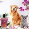 Bioxi Cat & Dog Parfümü Bulgaran 100ml