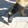 Köpekler için Balen Destekli Arka Ayak Uzun Dirseklik X Large - (XL)