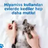 Miyamiss Kedi Kumu Koku Giderici Coconut 35 gr