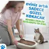 Miyamiss Kedi Kumu Koku Giderici Coconut 35 gr