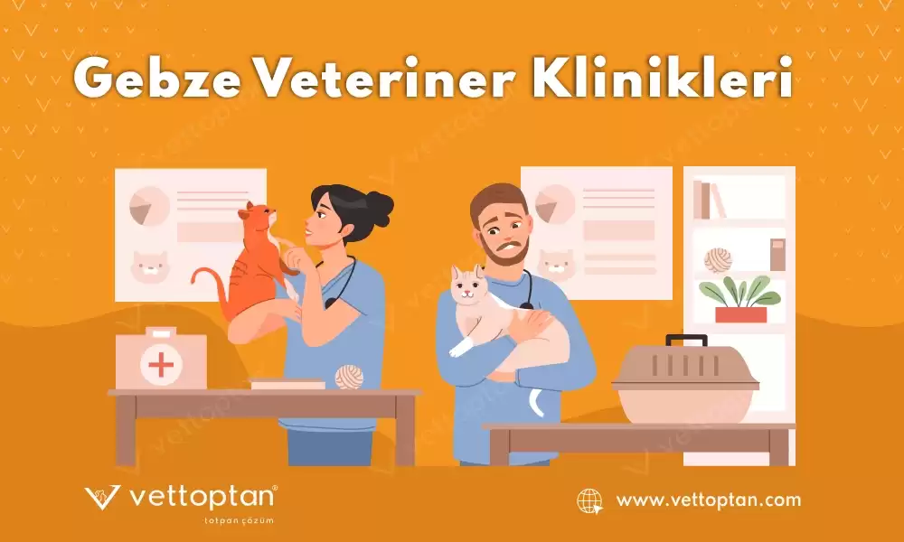 Gebze Kocaeli Veteriner Hizmeti Veren Klinikler