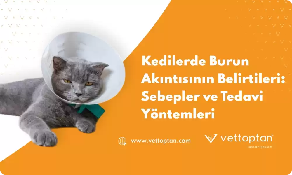 Kedide Burun Akıntısının Belirtileri