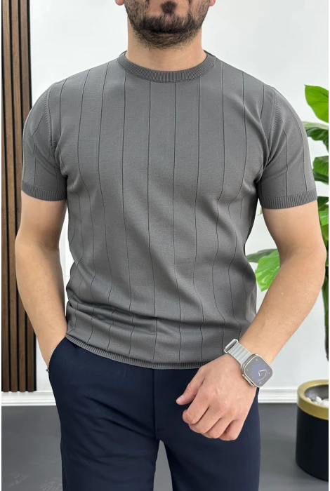 Erkek Bisiklet Yaka Çizgili Tişört Füme Edw456