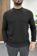 Erkek Bisiklet Yaka Sweatshirt Siyah Edw436