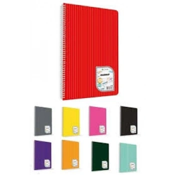 çınar colormaxi 72 yaprak A4 3 çizgili 2 kareli  defter