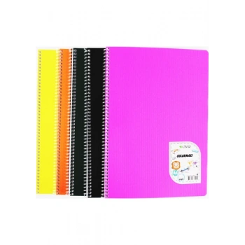 çınar defter color maxi 96 yaprak 4 çizgili + 2 kareli defter.