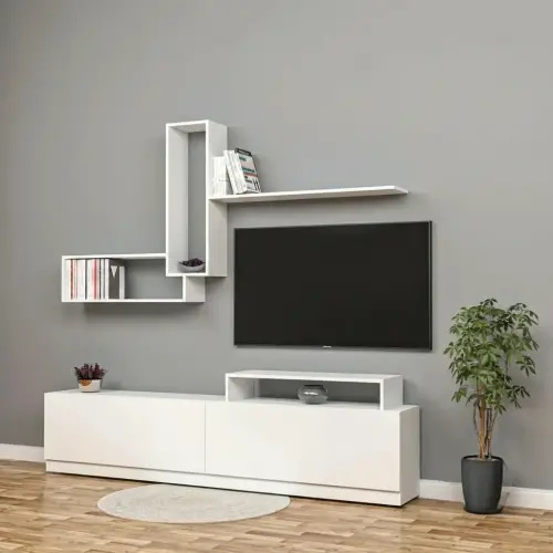 Lion Tv Ünitesi