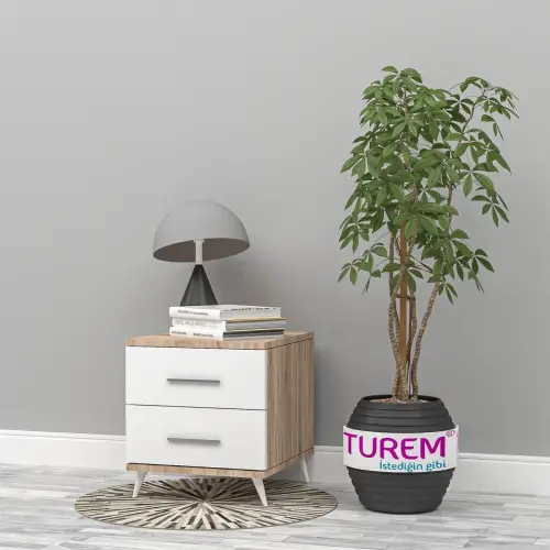 Açelya Komodin