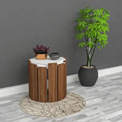 Organic Sehpa