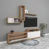 Lion Tv Ünitesi