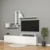 Lion Tv Ünitesi